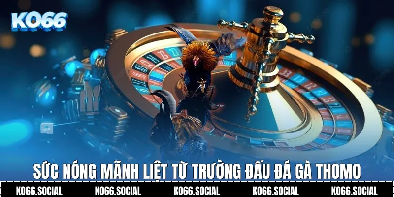 Sức nóng mãnh liệt từ trường đấu Đá Gà Thomo