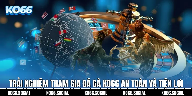 Trải nghiệm tham gia Đá Gà Ko66 an toàn và tiện lợi